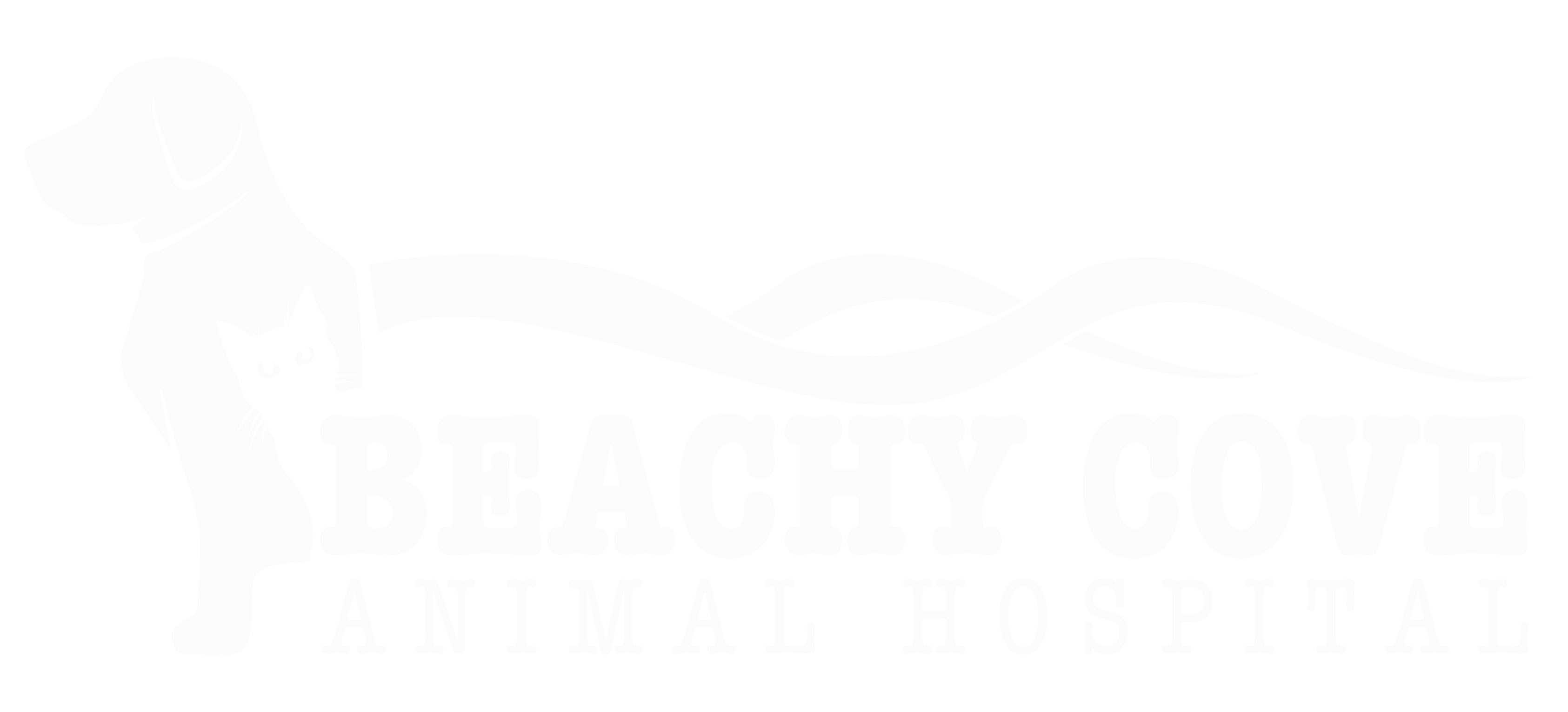 Beachy Cove Animal Hospital